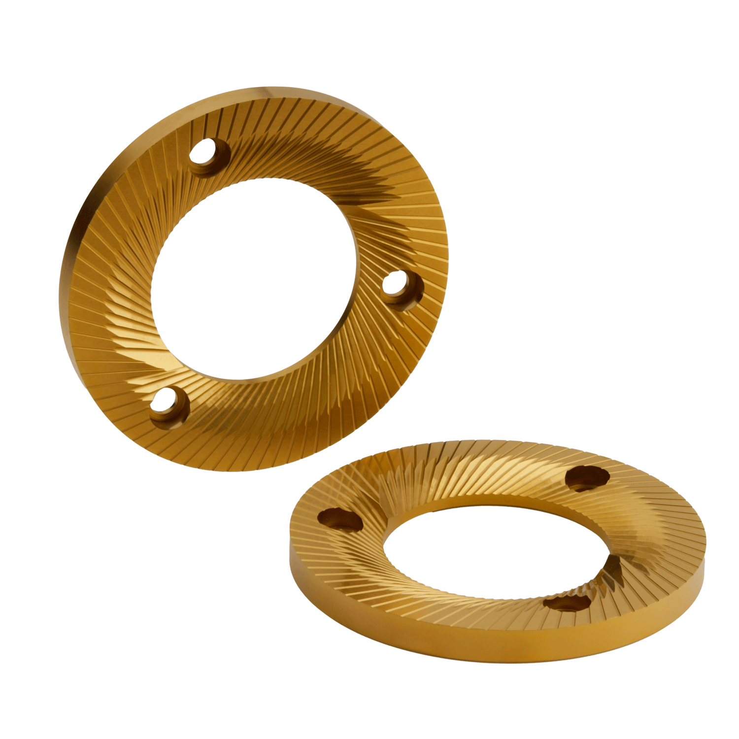 The real stars of the filter world, always ready to make history.